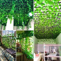 Wall decoration green plant simulation rattan decoration pipe vine green leaf ceiling plastic green dill leaves block grapes