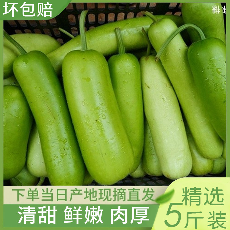 夕顔　３本　箱込み1kg前後　瓠瓜　夜開花　蒲瓜　瓢瓜 花蒲瓜-花蒲瓜促销价格、花蒲瓜品牌- 淘宝