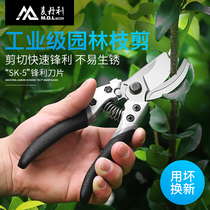 Branch shears Germany Maidanli Fruit tree pruning shears branch cutting tools garden strong fruit branch scissors tools