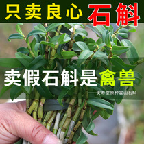 Buy 3 get 1 Anhui Huoshan Dendrobium candidum fresh strips fresh Dendrobium fresh branches Chinese herbal medicine official
