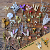 Natural dried flower head material retro real flower packaging small bouquet greeting card photo frame invitation wedding invitation handmade diy decoration