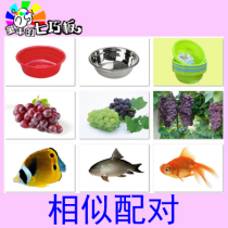 Matching Similar items for Autism Autism Developmental Delay Rehabilitation ABA Training Teaching Aids Card