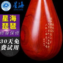 Beijing Xinghai Pipa musical instrument 8912-3 rosewood polished pipa professional performance examination pipa send accessories