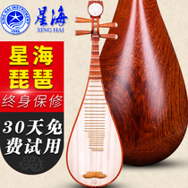 Beijing Xinghai pipa 8914-AA Austenitic sandalwood playing pipa national musical instrument polishing playing accessories