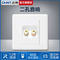 CHINT audio socket panel 86 type concealed audio power outlet Speaker socket Two-position wiring socket Audio