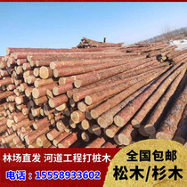 Pine Pile Pile Pile Pile Strengthening Block Blank Pine Pine Outdoor Flood Prevention Belt Landscape