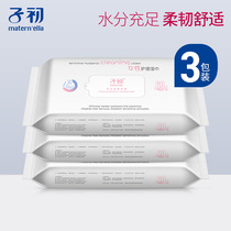 Childhood wet tissue female adult pregnant women postpartum private care 60 pumping * 3 packs of female private wipes