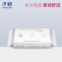 Childhood wet tissue female adult pregnant women postpartum private care 60 smoking womens private wipes