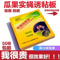 Solid fly viscose board Fruit fly inducing sticky board Needle bee orchard armyworm board insect-proof stickers Melon and fruit sticky fly paper Citrus mosquito and insect control