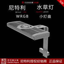 Nitelli water grass lamp Pan Full Spectrum WRG LED Super rgb65 Watt 85 Watt small light plate