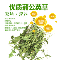 Dandelion Hay Qingre Dissolution Department antibacterial and anti-inflammatory natural big leaf rabbit ChinChin summer standing grass 50g