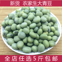 Farmers self-planted large green beans 500g green soybeans green skinned green soybeans can be used as tofu bean seeds
