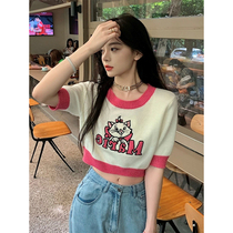 Short-style knitwear womens clothing short sleeves spring and summer bump color Katong kitty Korean version loose sweater slim fit with small fragrant wind blouse