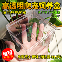 Climbing Reptiles Spider Scorpion Snail Silkworms Baby Dinosaur Skull High Transparent Plastic Rearing Box Raising a Box View