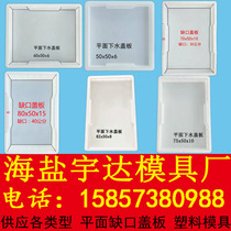 Custom highway municipal road ditch cover plate mold plane notch cover plate plastic mold