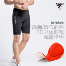 TADAN Spring Autumn Season Riding Shorts Mens Dynamic Cycling Pants Bike Mountain Bike Mountain Bike Road Riding Clothing Preparation