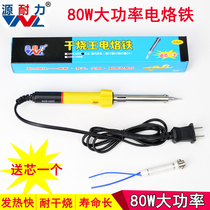 Source Endurance Mica Core Heat 80W High Power Electric Soldering Iron External Thermal Home Maintenance Professional Welding Tools