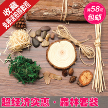 Photography props set Taobao photo shooting props retro ornaments set pine cone wood chips forest baby