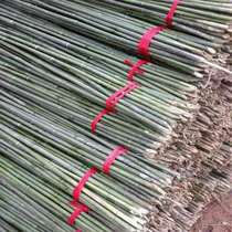 Small bamboo fine bamboo pole vegetable garden set up outdoor colorful flag bamboo pole thick bamboo rod long bamboo pole courtyard decoration fence bamboo