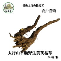 Wild Scutellaria baicalensis baicalensis baicalensis baicalensis 500g Shanxi Scutellaria baicalensis