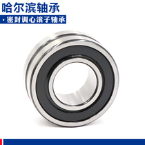 Harbin double-sided sealed spherical Roller Bearing BS2-2210 2211 2212 2213 2214-2CS