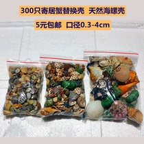 300 0.3-4cm bean diced hermit crabs replace the shell to adjust the water quality hardness ph nitrifying bacteria natural conch fish tank