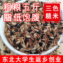 Northeast Tricolor Brown Rice New Rice Early Rice Germinates 5 Jin Coarse Cereals Red Rice Black Rice Coarse Grain Fitness Germ Rice Fat Reduction Rice