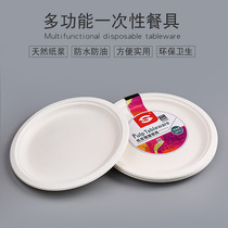 10 disposable plates paper plates dinner plates environmentally friendly pulp plates lunch boxes drawing dishes outdoor barbecue tools