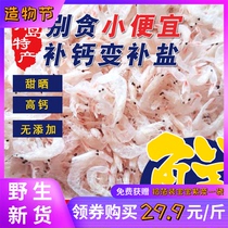 Qingdao specialty seafood dried shrimp light dry unsalted premium shrimp 500g calcium supplement fresh vacuum packaging
