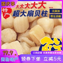 Qingdao super big scallop wild scallop column sweet-dried seafood dry no salt baby pregnant woman Betin 500g