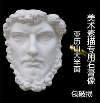 Gypsum figure head figure Alexander Real face cut face face face like plaster sketch half face image