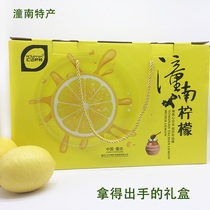 Chongqing Tongnan specialty Huida lemon gold gift box contains ready-to-eat tablets freeze-dried lemon honey