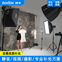 Shenniu sl150wii second-generation photography light shaking sound net red live light studio children's video always lights up