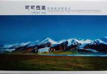 Full 100 TP40 Hoh Xil special postage postcard