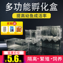 Guppies breeding isolation box Incubation box Acrylic suspended tropical fish Betta small fish seedlings spawning box