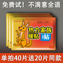 Kangyi warm paste treasure paste cold warm kangaroo warm belly paste hot Post heat 100 piece warm waist self-heating