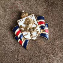 (G Home) Microblemishes Inn College insignia Badge Enamel Brooch 360 Dingkin 200