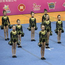 Customized cheerleading competition uniforms cheerleading costumes competitive aerobics clothing gymnastics uniforms 22 students Female Male