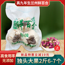 Lanzhou fresh edible sweet Lily West Orchard pure natural natural now dig export grade Premium 1000g fresh lily