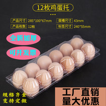 12 pieces of medium egg tray plastic transparent blister egg box newborn egg box raw egg box 100 pcs