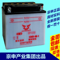 Zongshen three-wheeled curved beam motorcycle 110 12V 9ah 7AH RX3 original battery battery universal