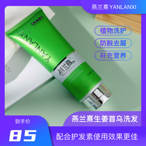 Yanlanxi shampoo set ginger dandruff cleaning nutrition repair hair hair dandruff for men and women