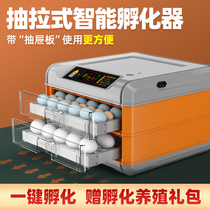 Weiqian pull-out incubator automatic smart incubator small home mini incubator bird incubator bird incubator