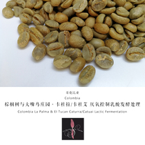 2021 Season Columbia Palms and Tamax Manor Caturra Catuai Lactic Acid Fermentation 1kg