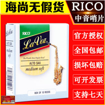 RICO Sentinel Lavoz Lavoz alto saxophone Sentinel jazz pop ruikou