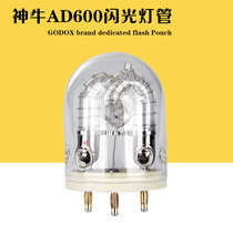 Shenniu 600W flash bulb AD600 Lithium electric flash lamp AD-H600 split lamp holder special lamp
