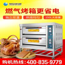 Asahi multi-function electric oven Commercial multi-layer large capacity baking oven Pizza cake bread oven Single double layer