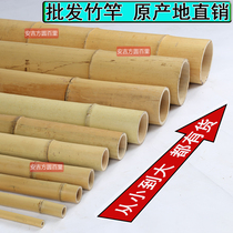 Decoration and decoration anti-corrosion bamboo ceiling partition wall fence erection dance bamboo pole bamboo pole Bamboo Bamboo pole bamboo