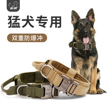 Dog collar Fierce dog Horse dog Kaslow special dog collar Collar Big Dog German Shepherd Neck ring Medium and large dog traction rope