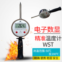 Plug-in handheld digital display thermometer Geotherm thermometer extended probe needle organic fertilizer for food wine cellar organic fertilizer